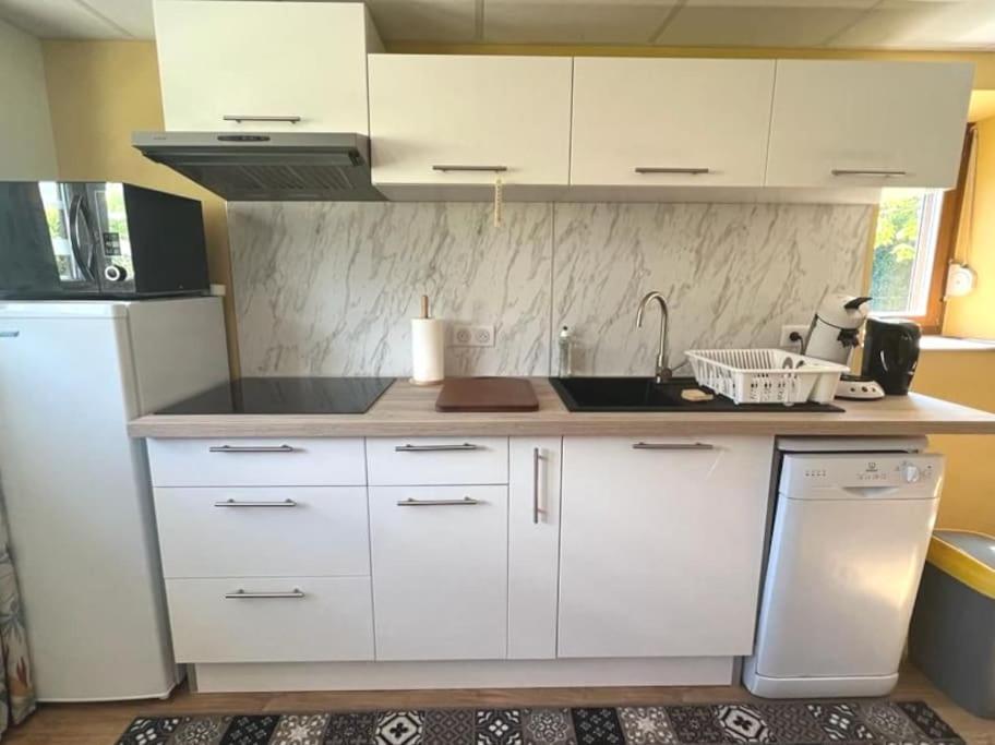 Au Petit Bonheur Appartement Horbourg Buitenkant foto